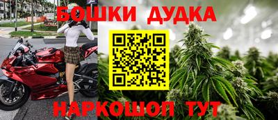 прущие грибы Кулебаки