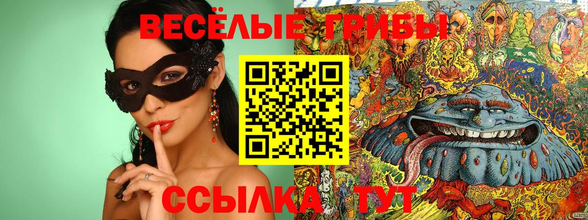 Псилоцибиновые грибы Magic Shrooms Корсаков